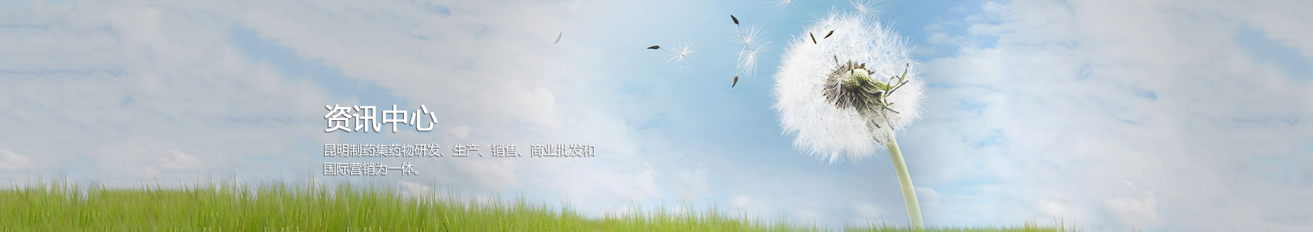 摇钱树娱乐(中国区)有限公司官网